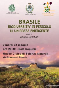 locandina-brasile-31-maggio