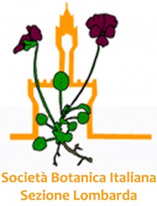 2013_logo-SBI-esempio copia