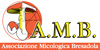 AMB-logo