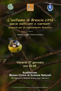 avifauna 27 gennaio