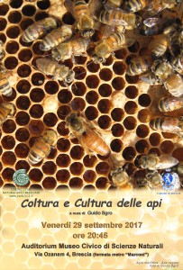 coltura e cultura api 29settembre.locandina