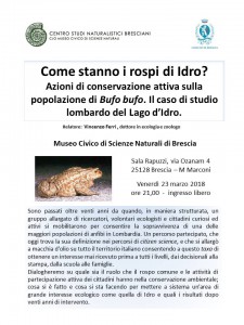 Locandina Bufo bufo 23 3 2018 finale